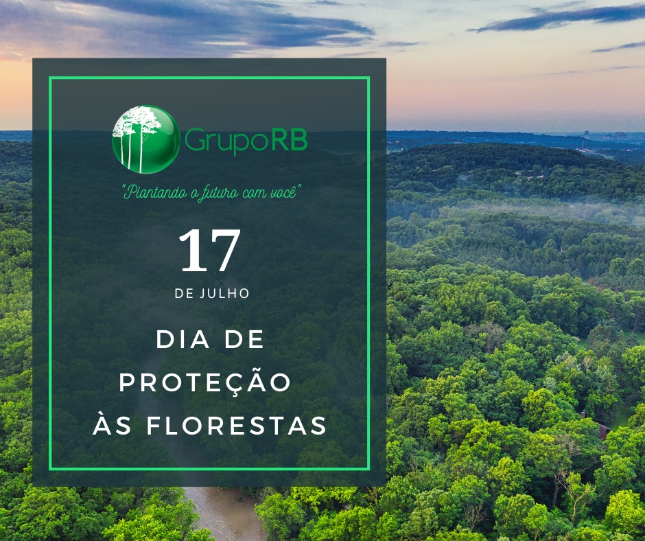 Floresta Amazônica - Você sabia?